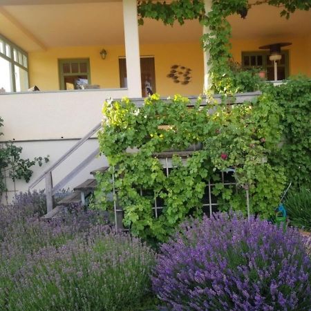 וארן Ferienhaus Schiller מראה חיצוני תמונה